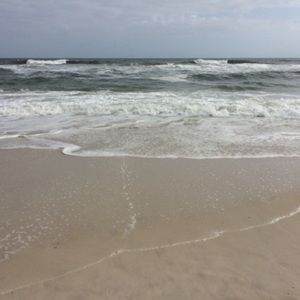 Meet your Posher, Dorothy